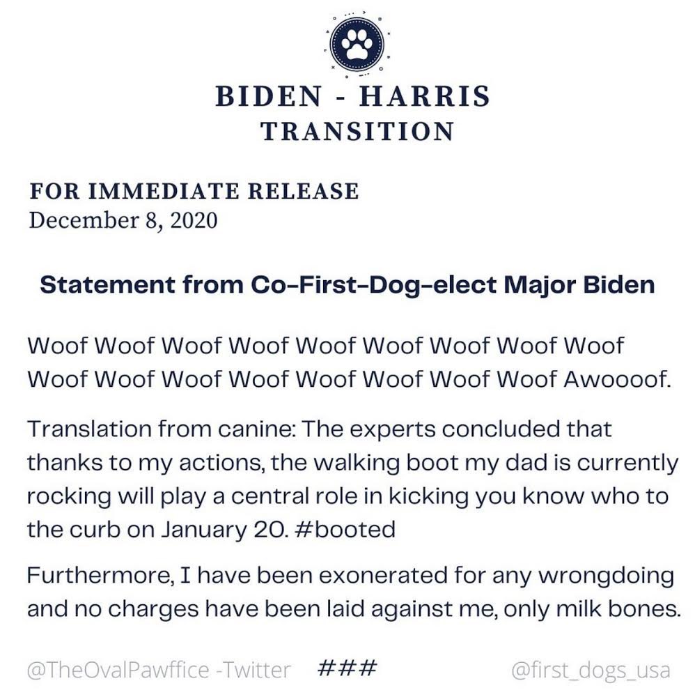 TheOvalPawffice's tweet photo. 🐾 I woof like to remind everyone that when the news about dad @POTUS and the ankle fracture incident came out, details were not made clear and I was wrongfully pawccused in the beginning. I was innocent, as per my paw releases. Innocent then and now. - Major #DOTUS https://t.co/uvomMukZu2