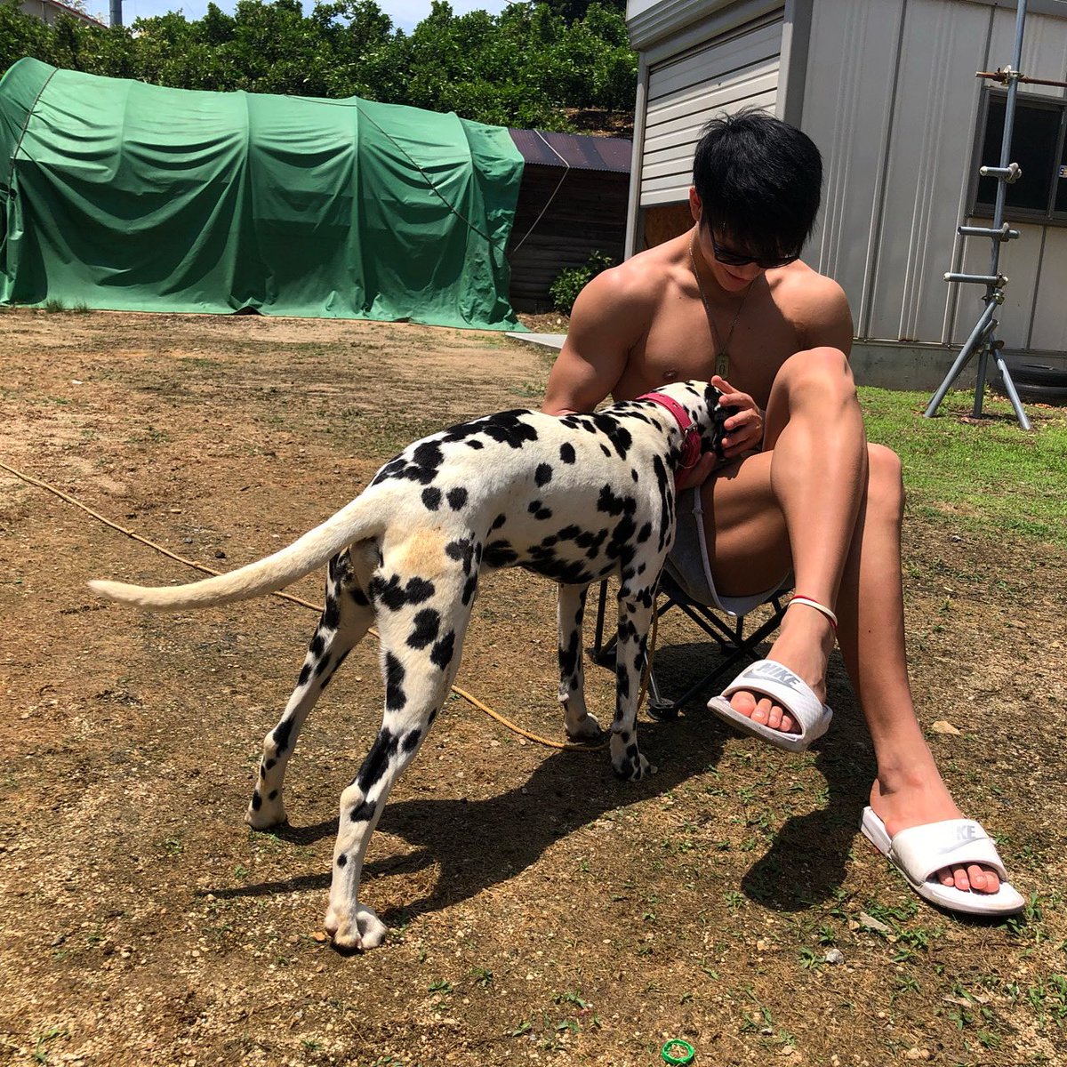 wolf_x1x's tweet photo. ギンの散歩してやりてえなあ
それにしても去年の夏ほそ https://t.co/UerKAMb0JW