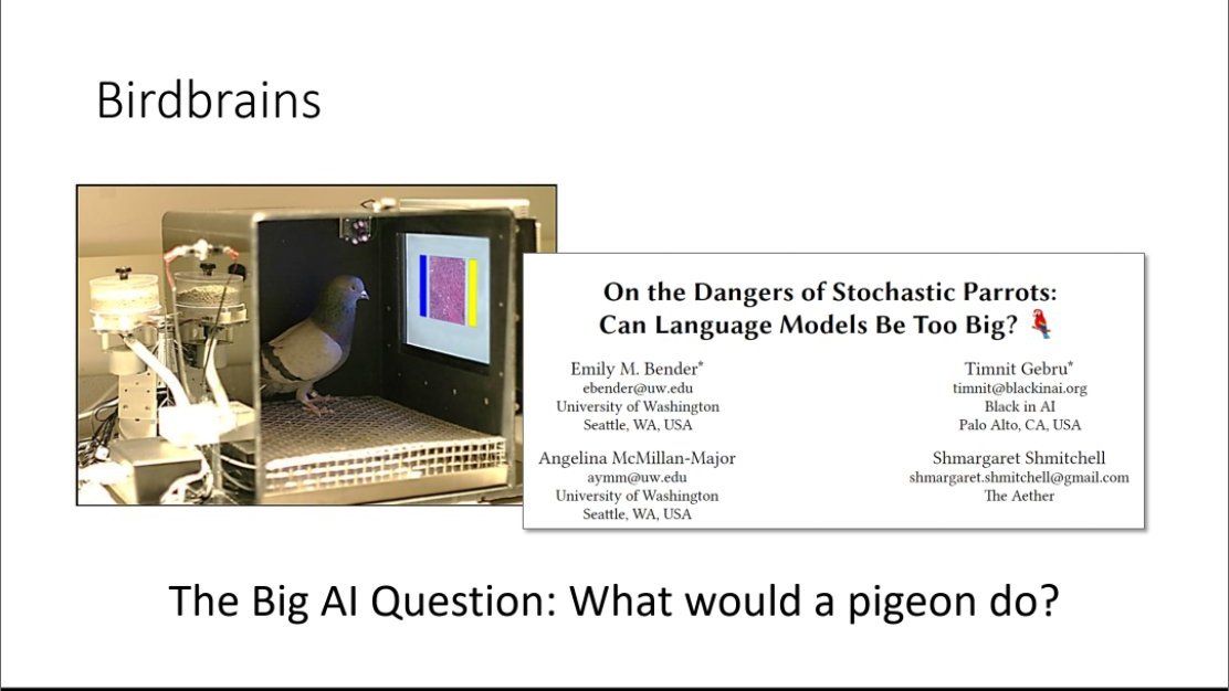 Gave what was a fun (albeit somewhat disrupted with technical issues) talk w/ <a href="/RANZCRcollege/">RANZCR</a> + <a href="/annalise_ai/">annalise.ai</a> today on medical AI safety.

The take home message - if you want to predict how an AI model will fail, ask yourself the "big AI question", ie

😂What Would A Pigeon Do😂