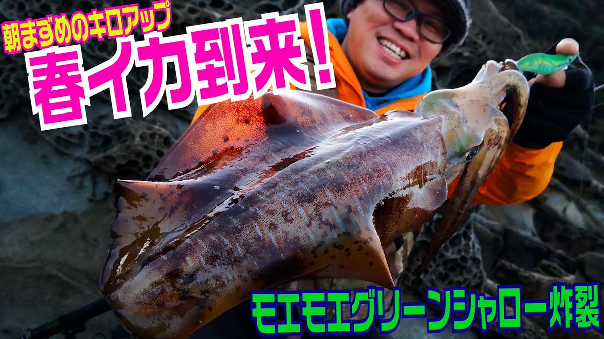 竹本保幸 春イカ狙い2回目の動画です 今月リリースされたエギ王kモエモエグリーンシャローで朝マズメ出てくれました T Co Vrig2ihnsd 釣り好きタケちゃんネル エギング 春イカ 春エギング キロアップ エギ王 Yamashita 釣り好きな人と