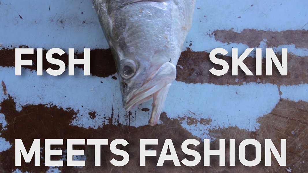 Baseplayco's tweet photo. Ever knew you could make leather out of fish skin?
Check out https://t.co/9XZGFjQrBN for the full mini-documentary on the first & only fish tanner in the world!
#Africa #Fish #Fashion #Leather #Baseplay #Baseplaystream #Stream #Online #Free #Streaming https://t.co/Iad5juM8B2