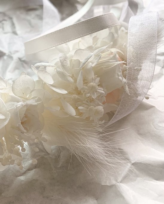 白鳥のtwitterイラスト検索結果