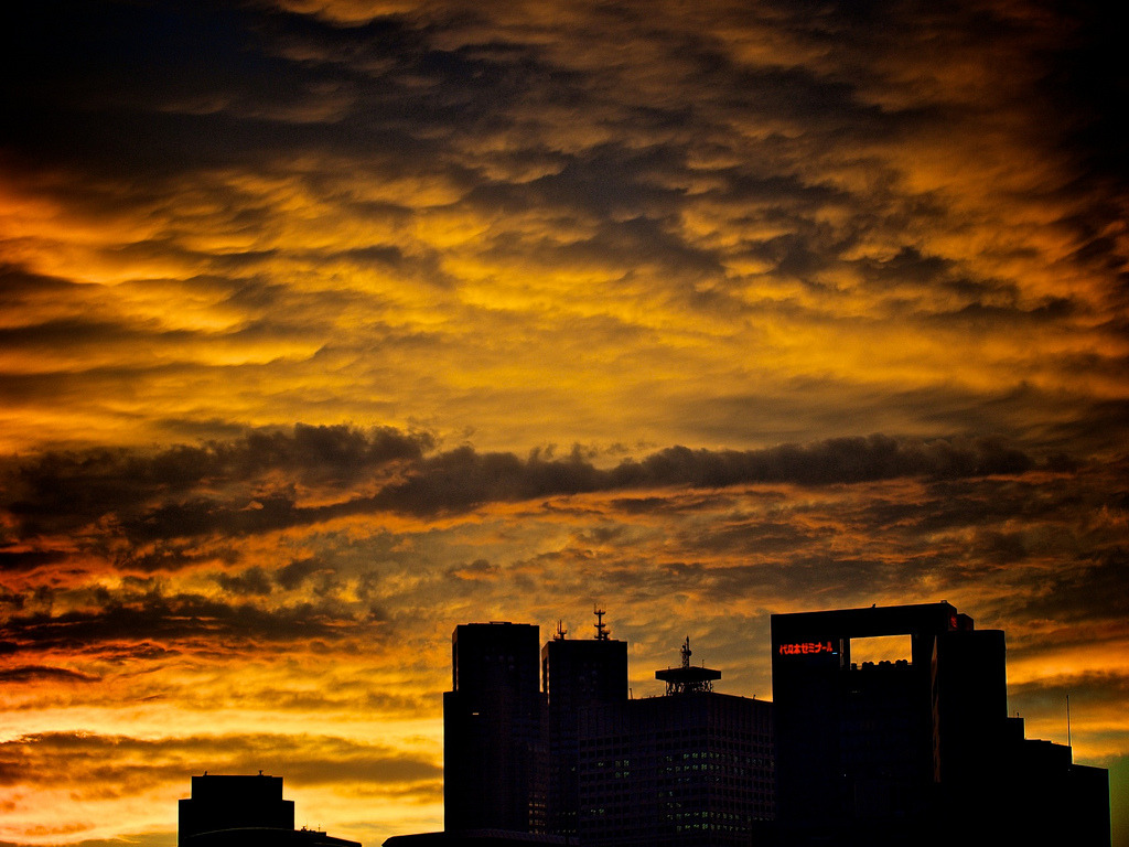 archillect's tweet image. 