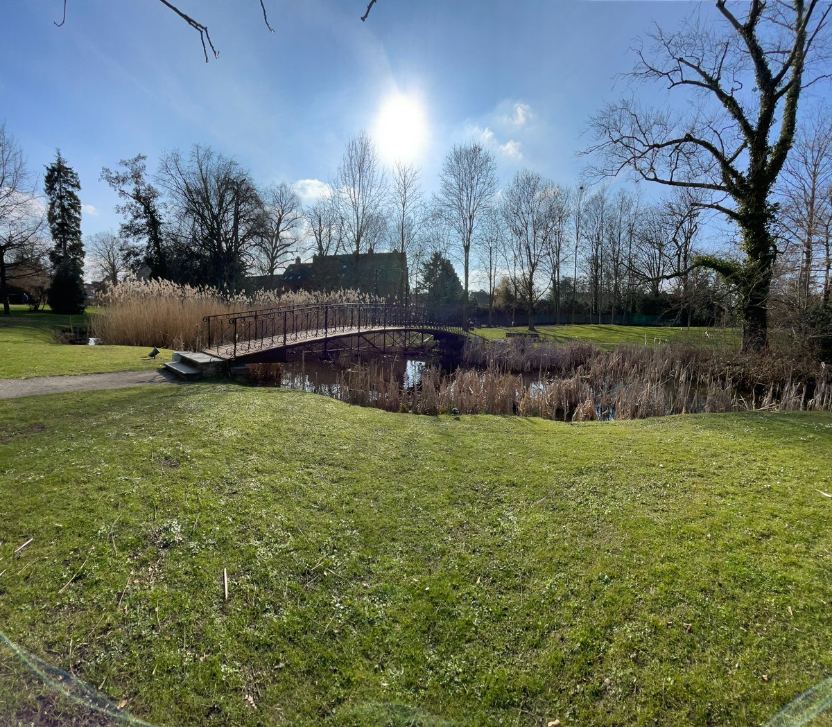 Stad Diest tweet media