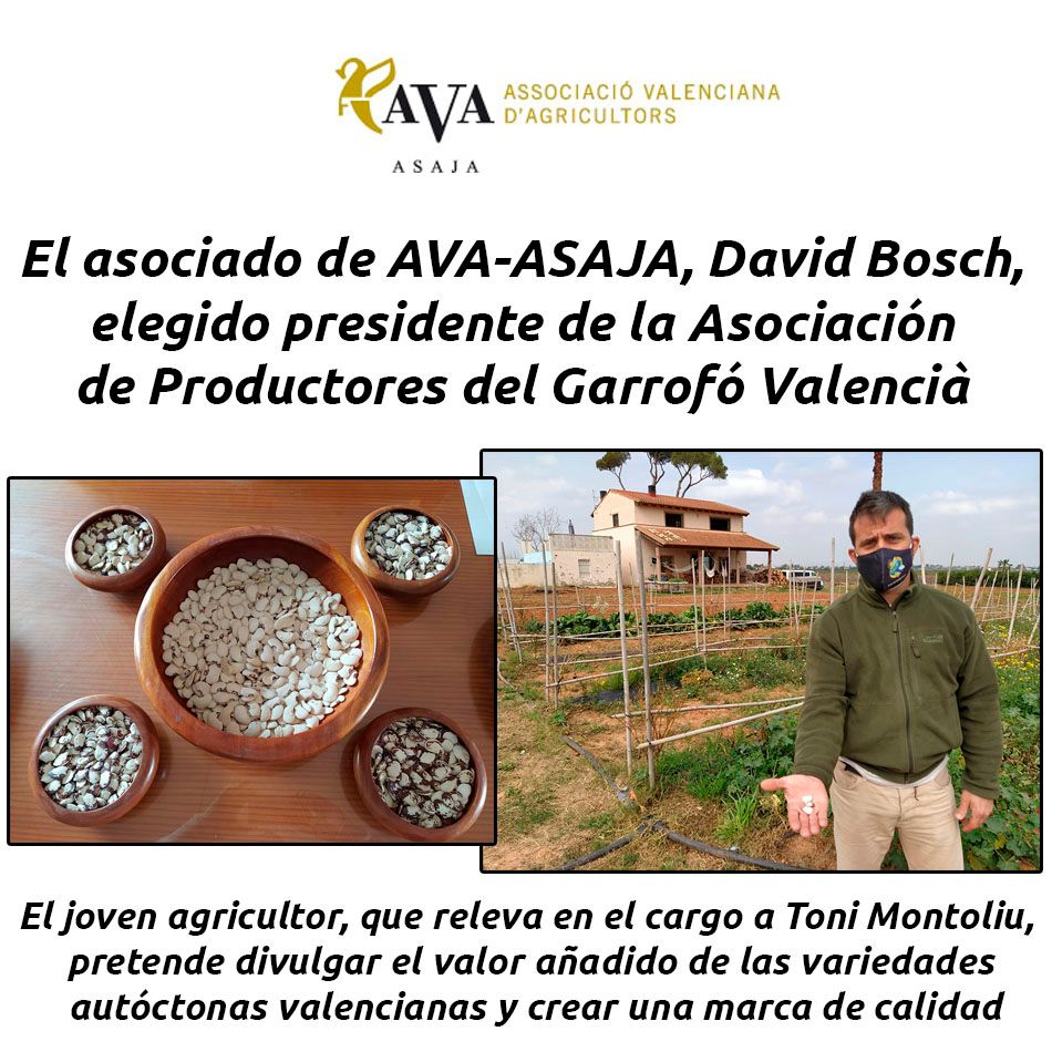 hosteleriaenvlc's tweet photo. EL ASOCIADO DE AVA-ASAJA, DAVID BOSCH, ELEGIDO PRESIDENTE DE LA ASOCIACIÓN DE PRODUCTORES DEL GARROFÓ VALENCIÀ

https://t.co/Kh2qhptAlj

@ava_asaja #avaasaja #HosteleriaEnValencia #AsociacionProductoresGarrofoValencia #Presidente #DavidBosch #GarrofoValencia #VariedadesAutoctonas https://t.co/m94jaevbqx
