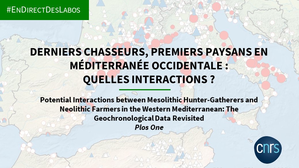 #EndirectDesLabos 🔎

Une étude révèle de fortes disparités régionales dans les interactions entre derniers chasseurs-collecteurs et premiers agropasteurs en Méditerranée occidentale, alors que ces derniers gagnaient l'Ouest.

➡️ inee.cnrs.fr/fr/cnrsinfo/de…
📕doi.org/10.1371/journa…