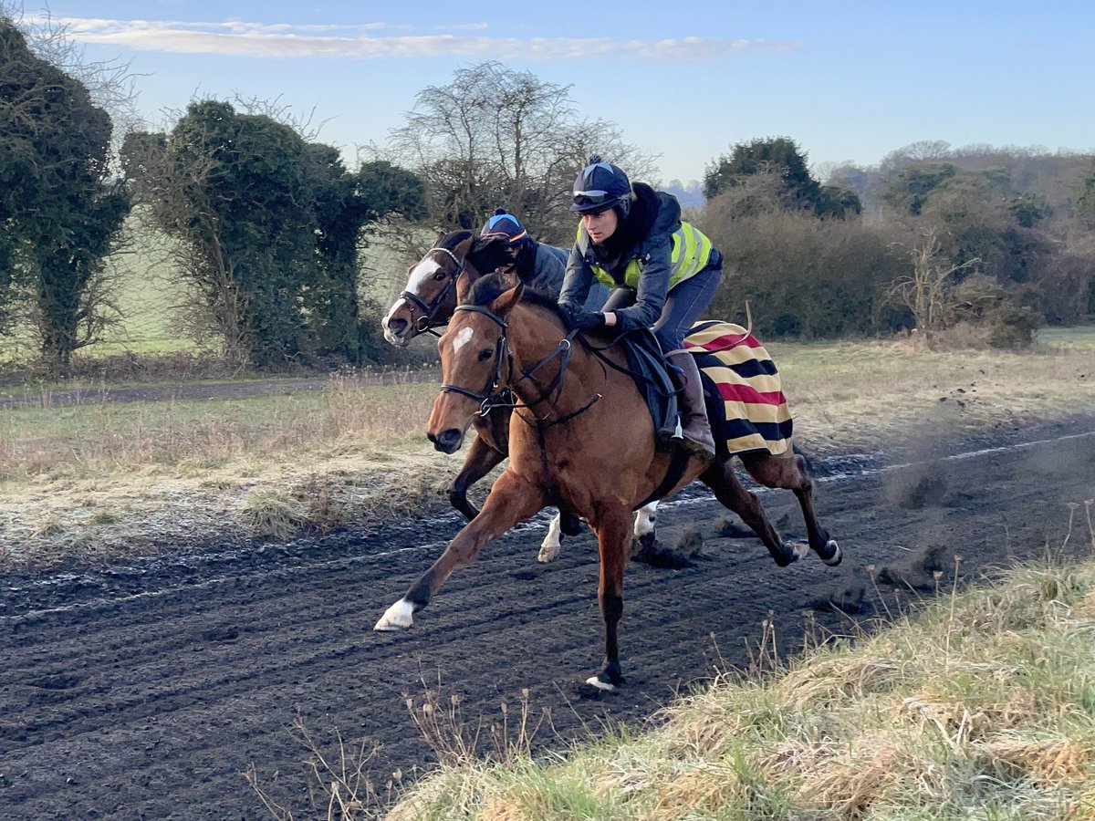 jimboyle17's tweet photo. Starting to pick up the pace in preparation for the coming turf season, and the workers stretched out nicely this morning @Epsomgallops #Downsman #GoingGone #DolphinVista #LeroyLeroy #HopeSprings #Aventurina https://t.co/S0g98zDrZo