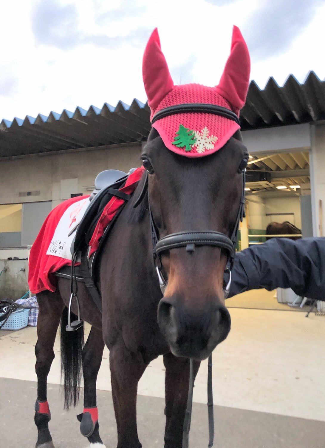 See Tokyomegaillumi S Tweet Twitter