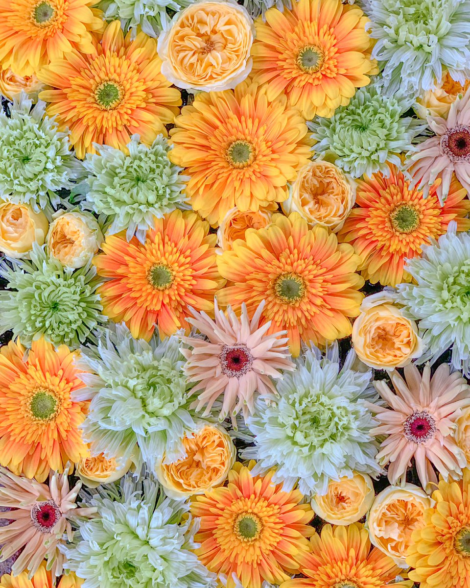 sky_lover_920's tweet photo. 花
#花手水
#ビタミンカラー
#flower
#yellow
#花のある生活
#写真好き
#写真好きな人と繋がりたい
#カメラ好きな人と繋がりたい
#ファインダー越しの私の世界
#写真撮ってる人と繋がりたい
#東京カメラ部
#Niigata
#iPhoneXs https://t.co/Uh71Ak4oEy