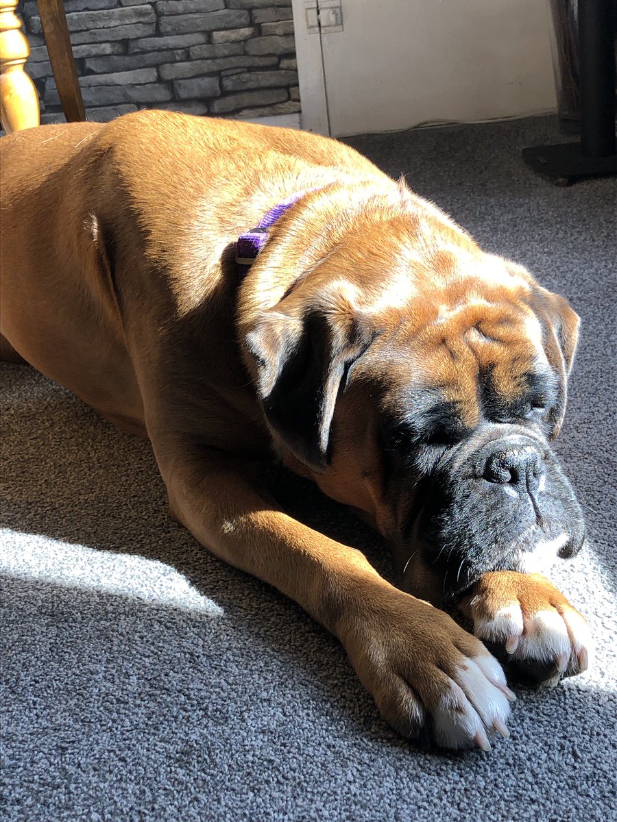 Fran Thomas tweet media