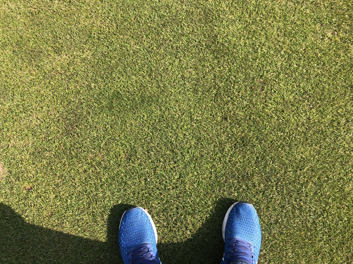 Second cut on the fairways this year taking the H-O-C down to 11mm Remarked all centre &amp; clean up lines last week pushing some edges out into  the f-way bunkers so a work in progress Apart from being a little dry in places they have come through the winter well 👌👍😎