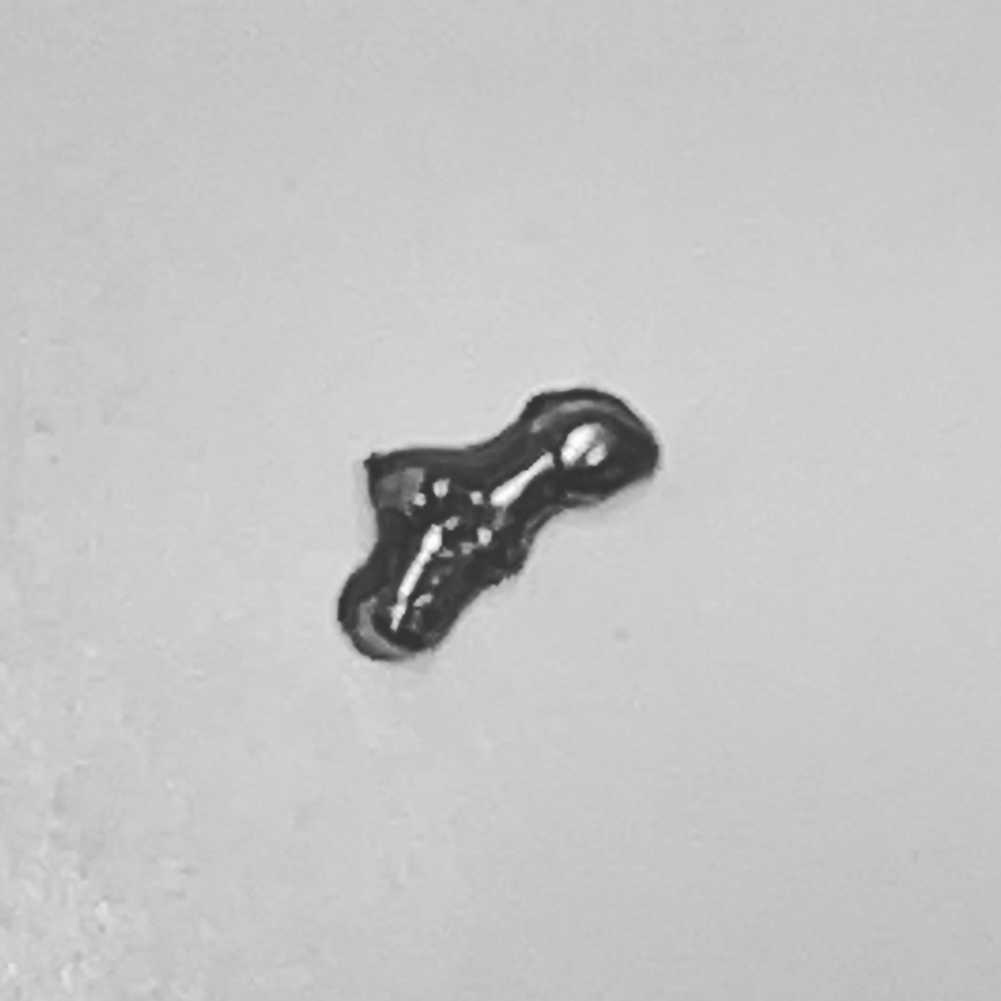 Sun Hutchney キャラメルは 銀歯ドロボウ By 錦鯉 リアルで起こって大爆笑でした ホントは キャラメルじゃなくてハイチュウ 錦鯉 M1グランプリ