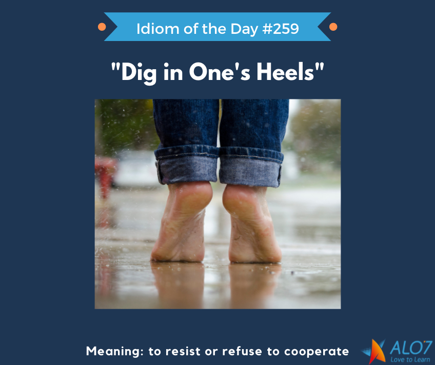 Express English Language Training Center - Idiom of the Day: HEAD OVER HEELS  - madly in love. - 