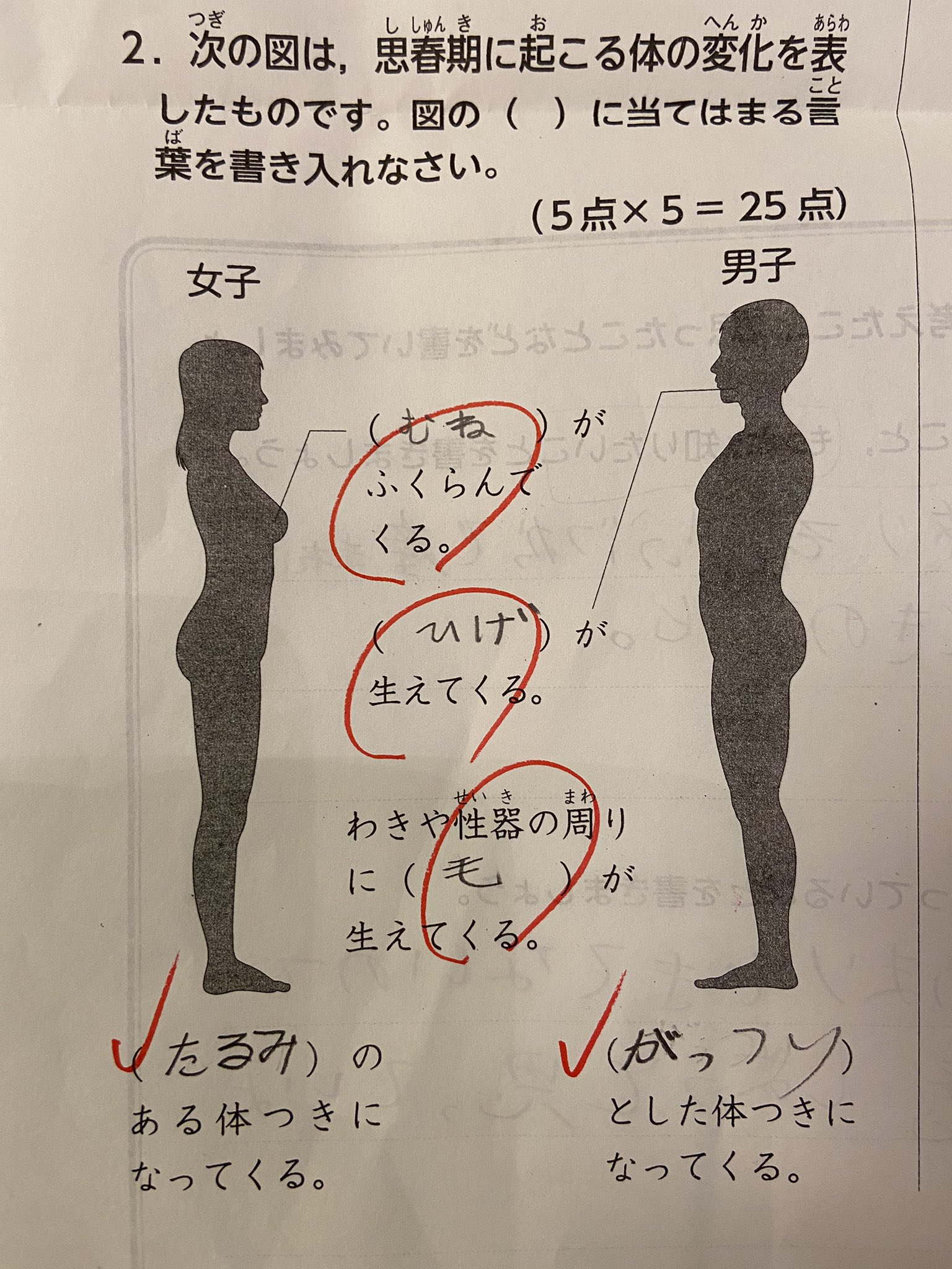 Hs 教育迷子ママ たるんだ体をなんとかするべく 今日は久々に筋トレに行ってきました Twitter