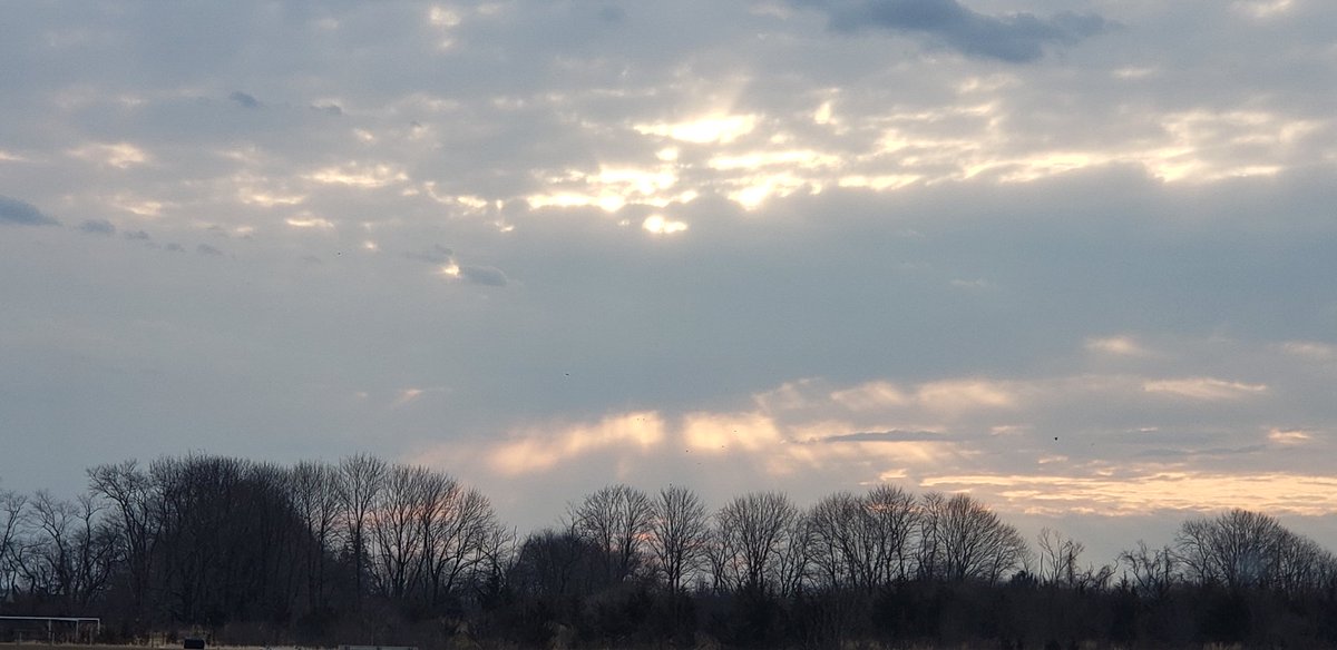 Great way to start the morning with the sun peeking through!!