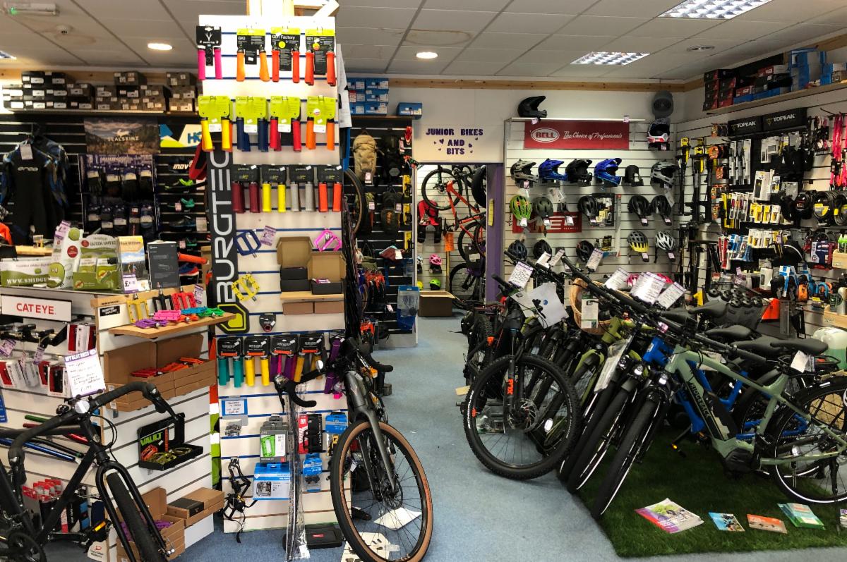 Check out our most recent newsletter! conta.cc/3bmvvjz