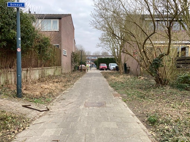 Onderstaande bericht kwam via Facebook bij ons binnen. Bewoner René Huijboom maakt zich zorgen over het groenbeleid in onze wijk.

Wat is dat toch met gemeenten en hun drang om altijd maar groen te willen omhakken.  
#beleid #bomen #GemeenteHoorn #Groen

ons-risdam.nl/rzns/bewonersv…