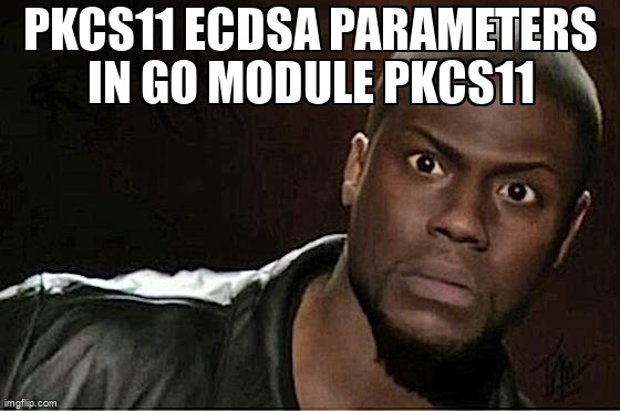 overflow_meme's tweet image. PKCS11 ECDSA parameters in go module pkcs11 stackoverflow.com/questions/6651… #go #ellipticcurve #ecdsa #pkcs#11 #hsm