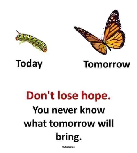 daisy_consejera's tweet photo. Thoughts for Tuesday 🦋 #repost #redtalktable #MentalHealthAwareness https://t.co/mc9UlOviiv