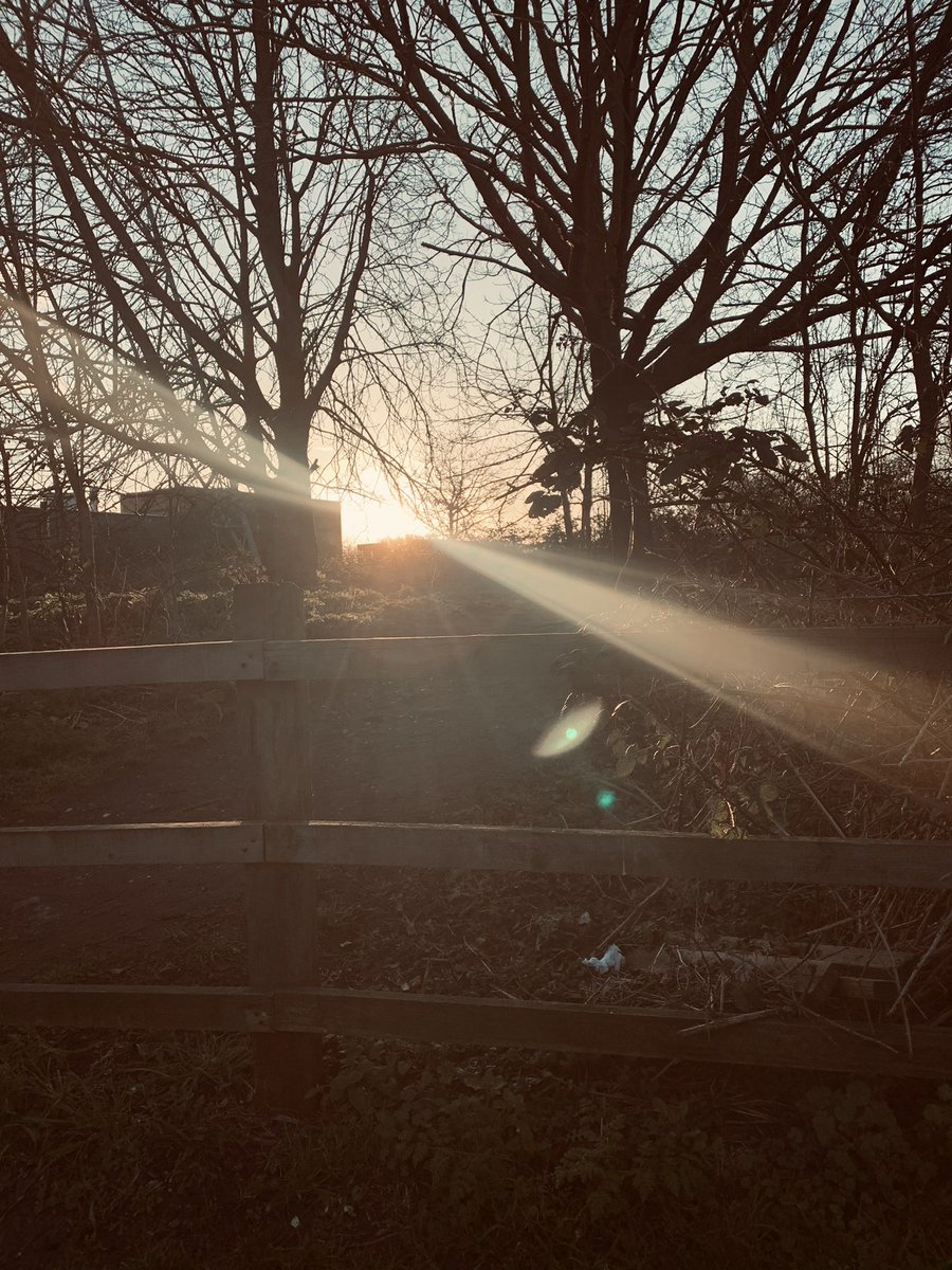 jamesenjoyrelax's tweet photo. Nice springtime light out and about this morning 🌅😊👍
.
#spring #springisintheair #morninglight #morningwalk #morningroutine #walthamstow #walthamstowmarshes #hackney #hackneymarshes #sunnyday #sunnymorning #selfie #morningselfie #early #beforework #beforeworkselfie https://t.co/o4NjFabehF