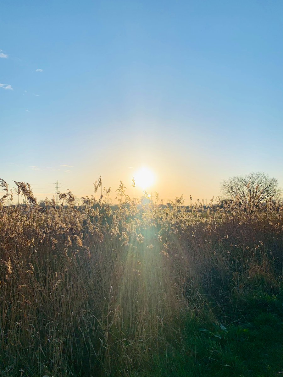 jamesenjoyrelax's tweet photo. Nice springtime light out and about this morning 🌅😊👍
.
#spring #springisintheair #morninglight #morningwalk #morningroutine #walthamstow #walthamstowmarshes #hackney #hackneymarshes #sunnyday #sunnymorning #selfie #morningselfie #early #beforework #beforeworkselfie https://t.co/o4NjFabehF