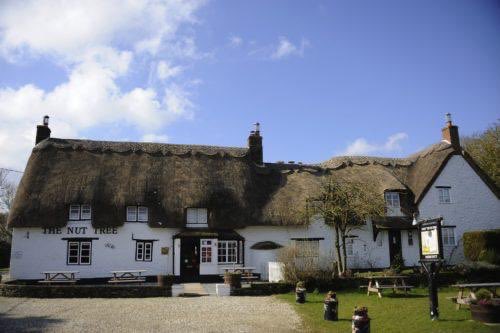 The Nut Tree Inn tweet media