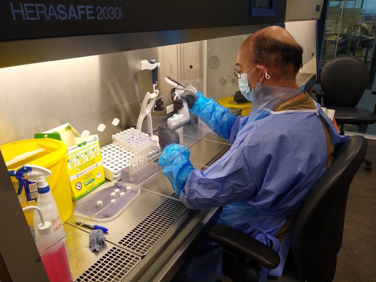 UofGMVLS's tweet photo. HUGE congratulations to the team in the Glasgow Lighthouse Lab who have now processed more than 10 million tests! 

This is an incredible achievement, and everyone @UofGlasgow is so proud of you. Thank you 🙏🏻 for all you continue to do in the fight against #COVID19   @DHSCgovuk https://t.co/4T5obZ7xH1