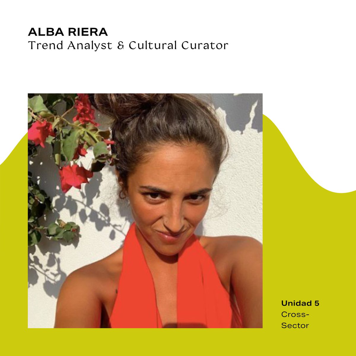 IMB School tweet media