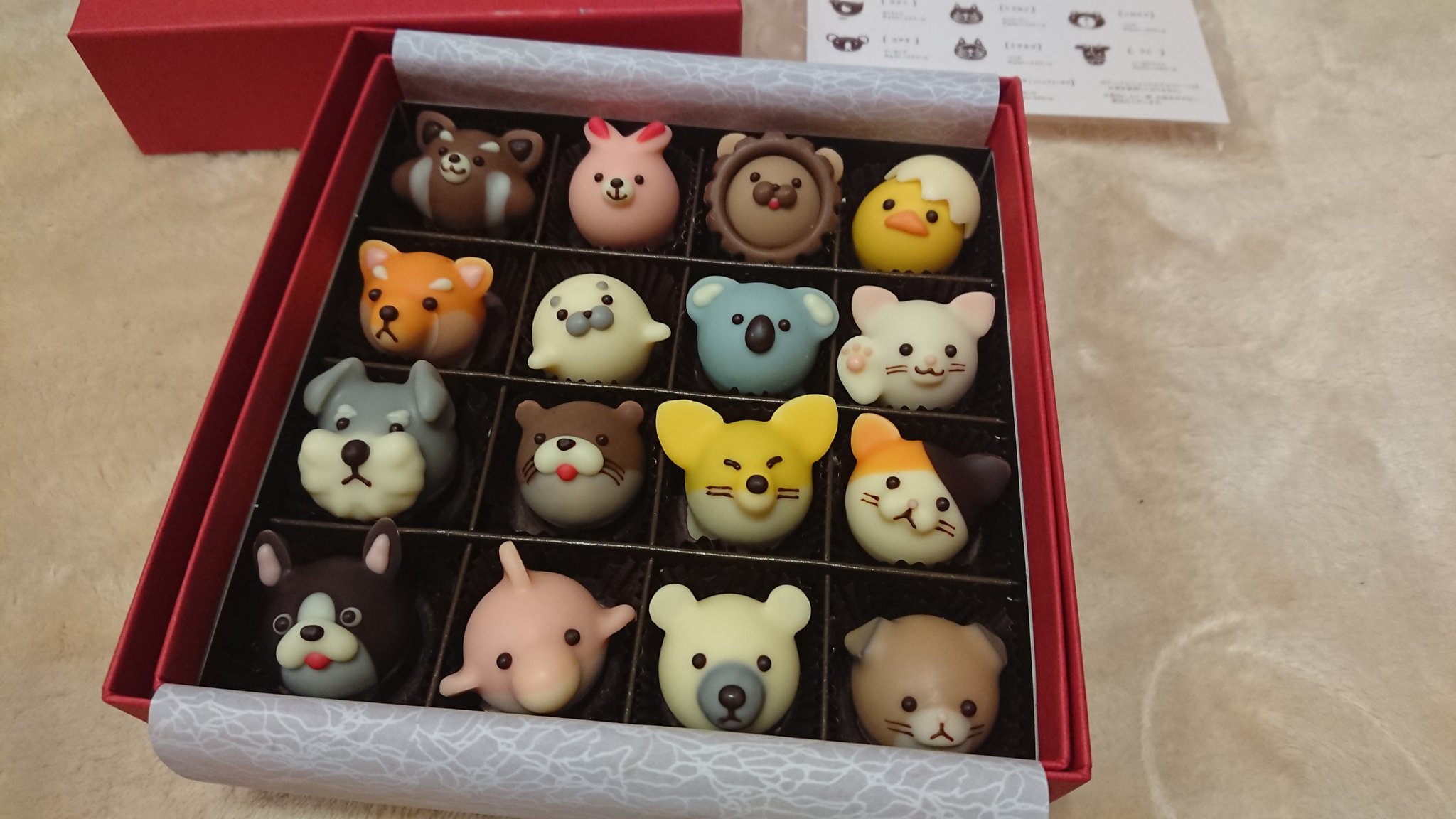 تويتر リエ على تويتر バレンタインで購入したチョコを開封した 今年のもかわいい Goncharoff ゴンチャロフ アニマルショコラ 動物 チョコレート T Co N1gtourebf