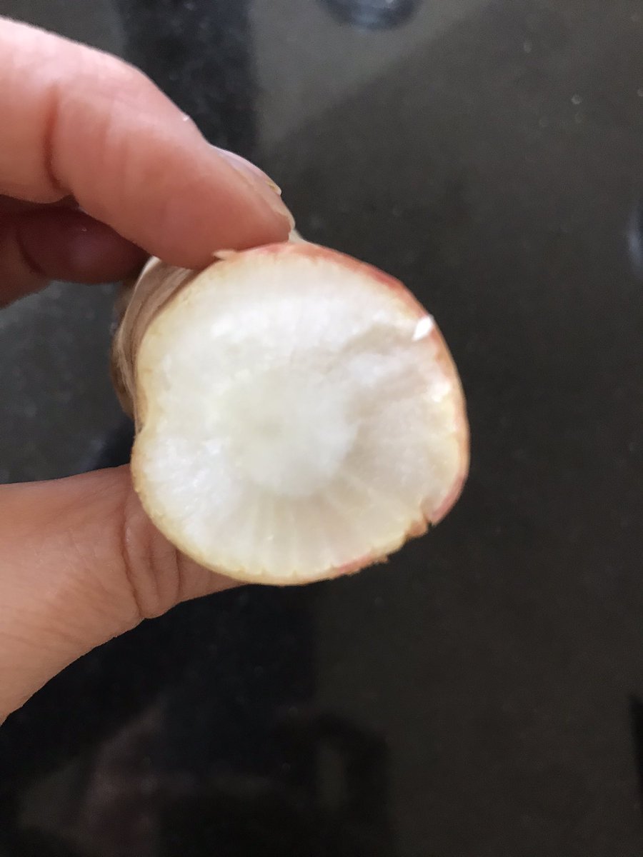 Really happy with my first @OddboxLDN delivery today! However I have a substitute in the box and I’m not sure what it is? 😂 Radish? Horseradish? 👀🤷🏻‍♀️