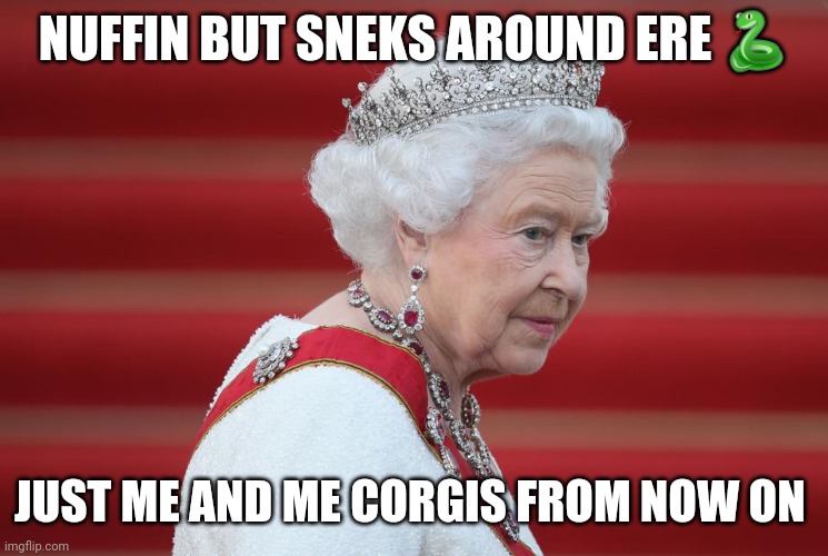 Paul Runecast tweet media