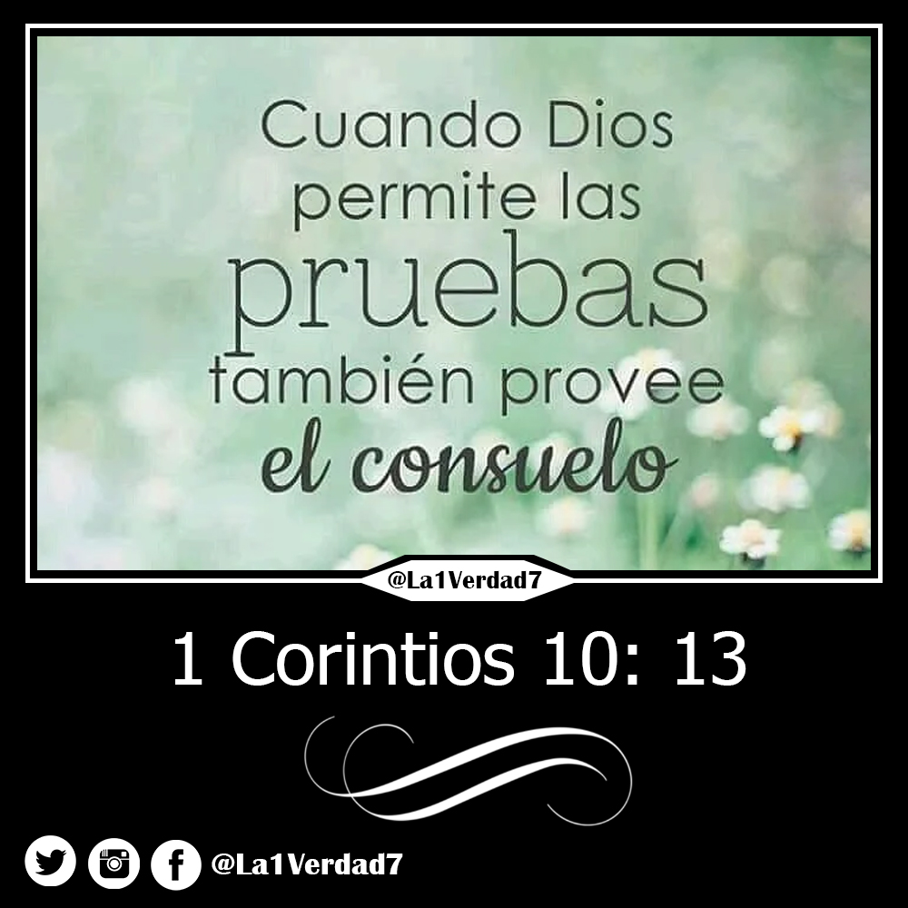 la1verdad7's tweet photo. #Dios nos da la salida a las #Pruebas
#Bendiciones de parte de #Jesús
#FelizMartesATodos
#Frases #Frasescristianas #EvangelioDelDia https://t.co/3B6TqrSj6c