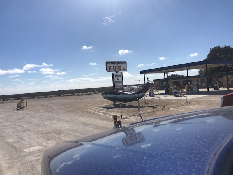 Mack_Trucks's tweet image. With the gold bulldog leading the way, the Mack Evolution Tour trucks are crossing the Nullarbor on their way to Truck Centre WA. 

Contact your local dealer to test drive the new Mack range.
#MackEvolutionTour #MackAnthemAustralia