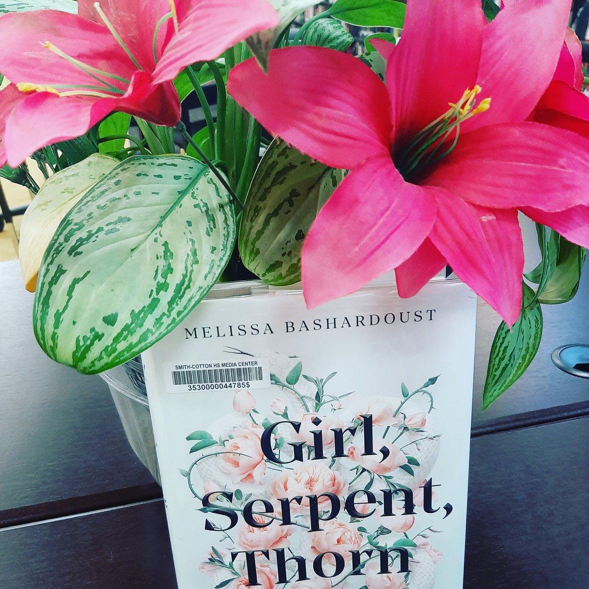 drbtlibrary's tweet photo. #girlserpentthorn followed a retelling of #hawthorne #rappaccinisdaughter narrated by a young  #queer woman trapped in a palace with skin deadly to touch...this book had me hooked! https://t.co/OEJMiwpKts