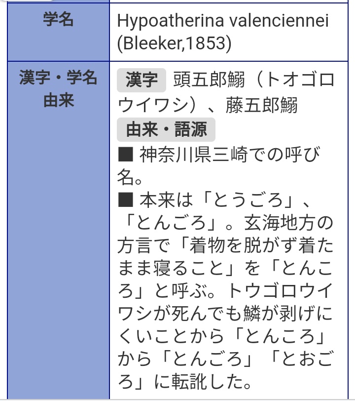 トウゴロウイワシ Twitter Search Twitter