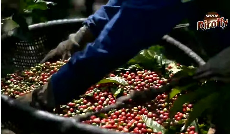 Nisha360's tweet photo. The @NescafeRicoffy virtual event is starting  
@NescafeRicoffy
   #NESCAFÉRICOFFY #NESCAFÉRICOFFYRESPONSIBLYSOURCED https://t.co/xVlh1jsQ4R