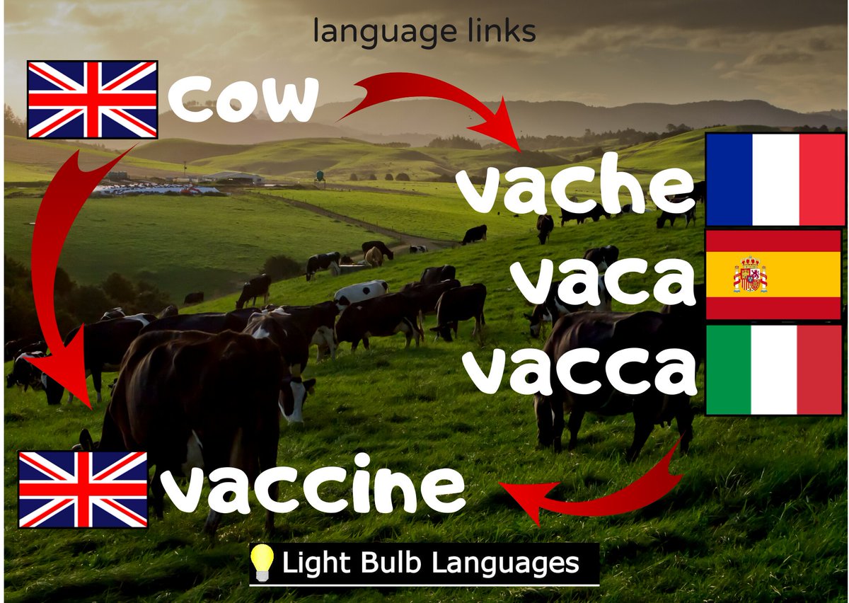 LightBulbLangs's tweet photo. A commission ;) (All the other #LanguageLinks are here https://t.co/XOhoShh94h) #mfltwitterati https://t.co/Fq8AY3Tb3Q