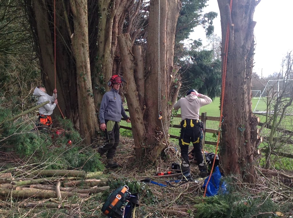 RHC_ForestryArb's tweet image. Back to what we do best, face to face teaching #goArb #trees #reaseheath