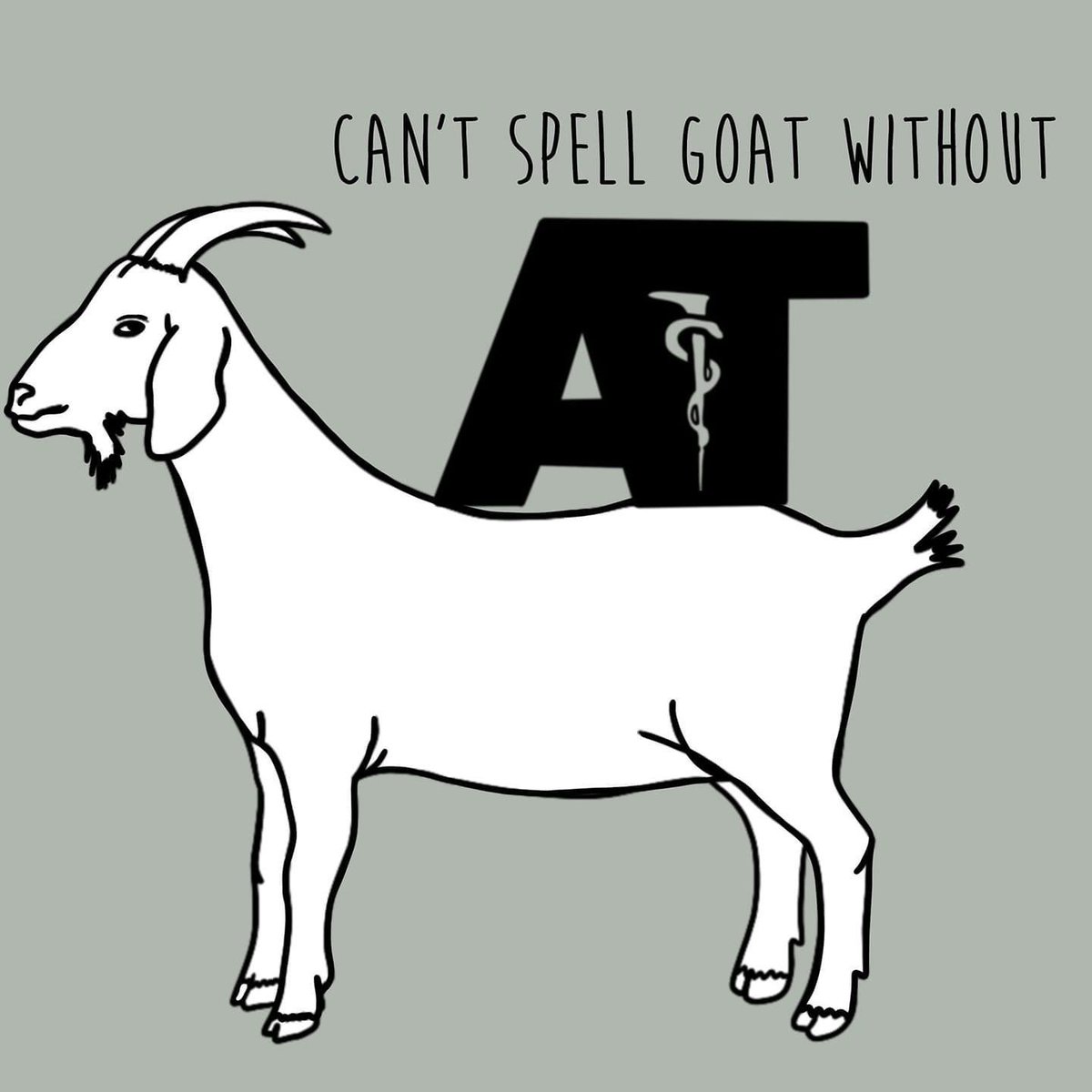 Just saying 😜 #NATM2021 #athletictrainer