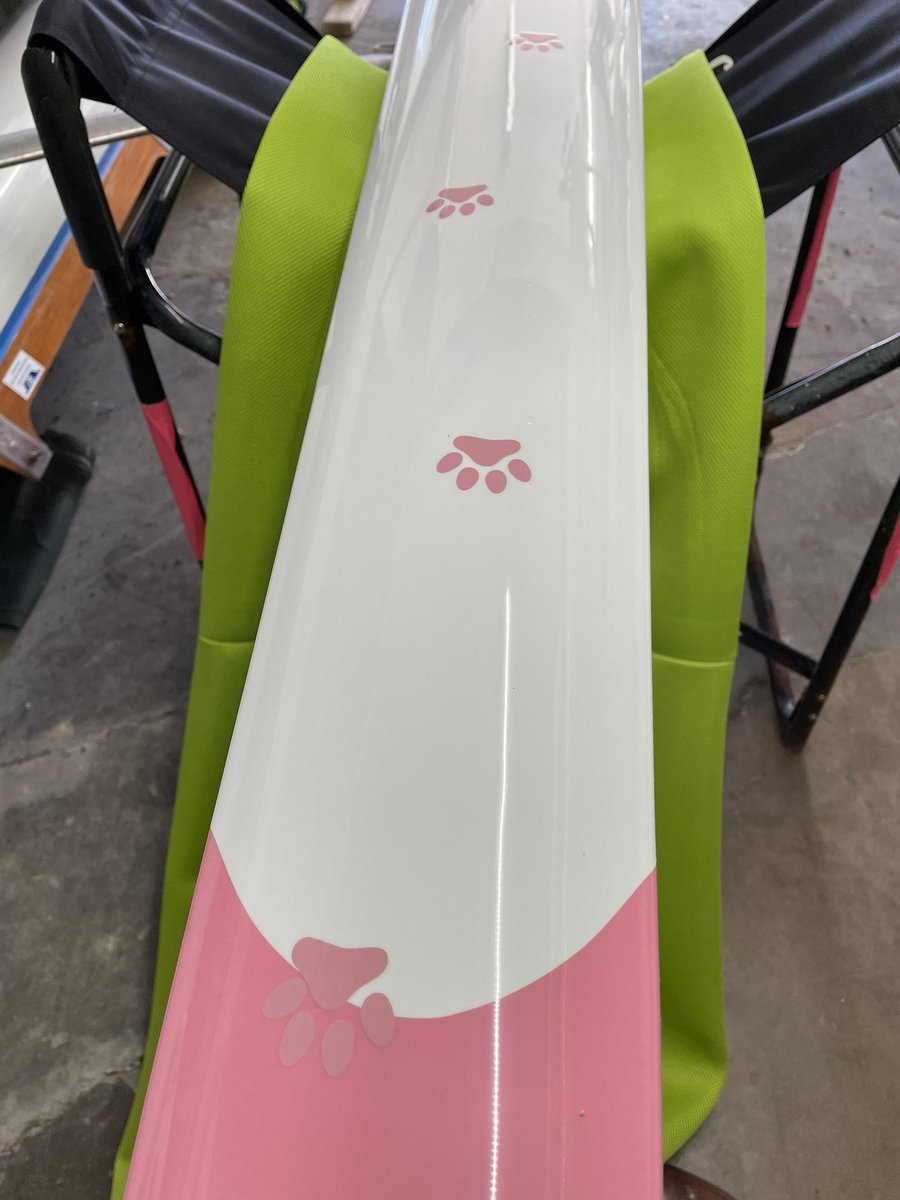 Daniel Walker tweet media