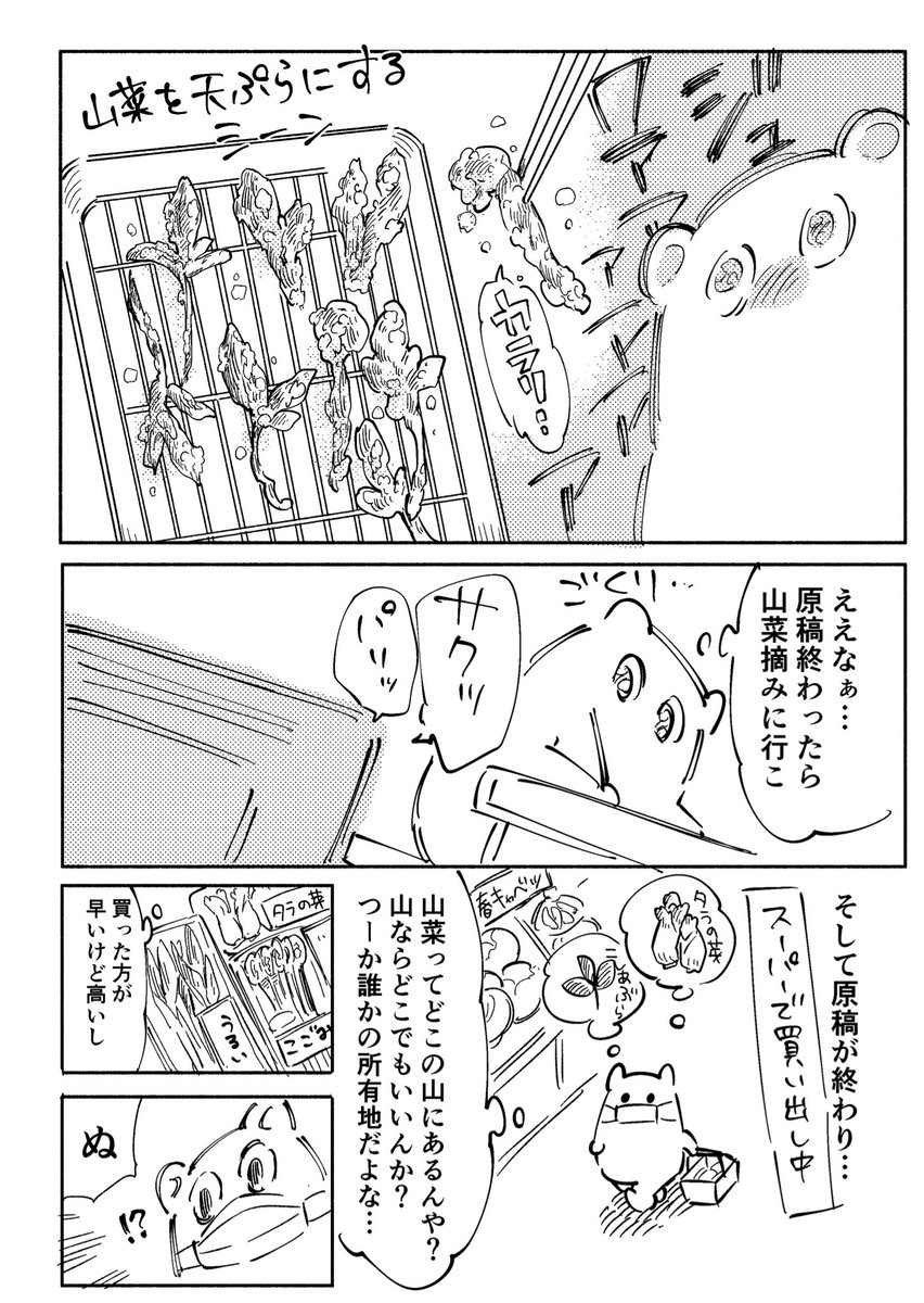 山菜摘みに行きたかった話 