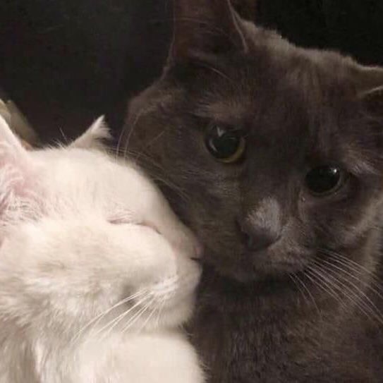 *:.ᕼᗩᑭᑭY ᗷIᖇTᕼᗞᗩY <a href="/nongtelnwza007/">เต rest / + log out</a> .:* 
𓇬𓂂𓈒 สสวกมายบัดของพี่จีน ขอให้เป็นปีที่ดี มีความสุขมากๆ สุขภาพแข็งแรง เป็นที่รักของทุกๆคนด้วย รักนะ (ˊo̴̶̷̤  ̫ o̴̶̷̤ˋ)♡