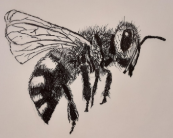 kfordacademy's tweet photo. Celebrating the artwork of 8Y1 during lockdown 👏👏#youngartists #talent  #insectproject #insects #remotelearning #WATLearnsLive   Well done! https://t.co/xvCrQWLhlZ