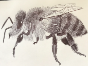 kfordacademy's tweet photo. Celebrating the artwork of 8Y1 during lockdown 👏👏#youngartists #talent  #insectproject #insects #remotelearning #WATLearnsLive   Well done! https://t.co/xvCrQWLhlZ