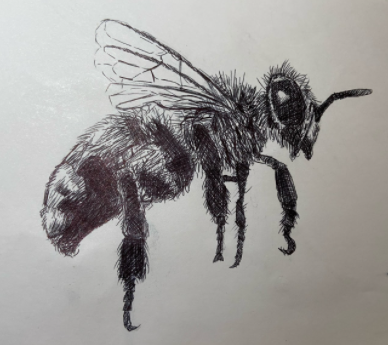 kfordacademy's tweet photo. Celebrating the artwork of 8Y1 during lockdown 👏👏#youngartists #talent  #insectproject #insects #remotelearning #WATLearnsLive   Well done! https://t.co/xvCrQWLhlZ