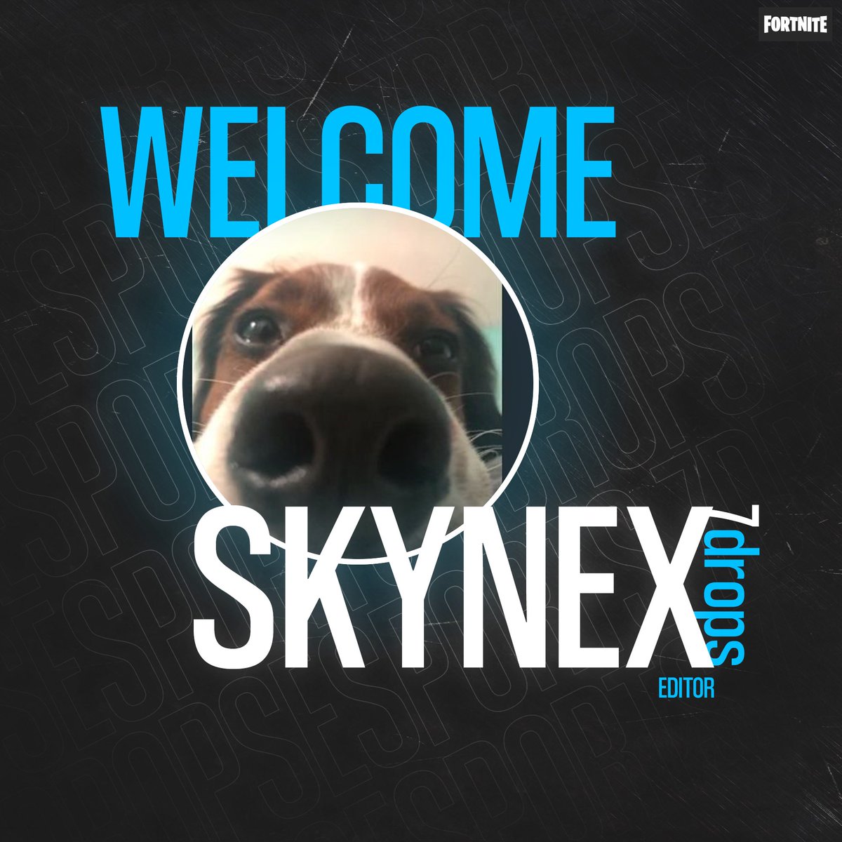 7DropsEsports's tweet image. Welcome Skynex!

New 7drops Editor 

#7drops