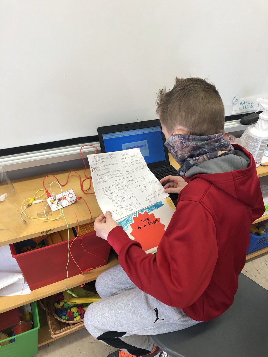 Ann Rigg tweet media