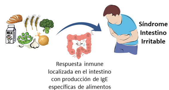 CEBE_Belgica's tweet photo. #CEBEResponde y @JJJaaavvviii hablan del origen de los síntomas del Síndrome de Intestino Irritable (colon irritable) en el #blog “Una Pizca de Ciencia”
👉https://t.co/3LcgnIr9I7
¿Alguna #pregunta sobre #Ciencia?
#CEBESciComm #SPreadScience
Col. @EmbEspBelgica & @IC_Bruselas https://t.co/lSqtzu1RYg