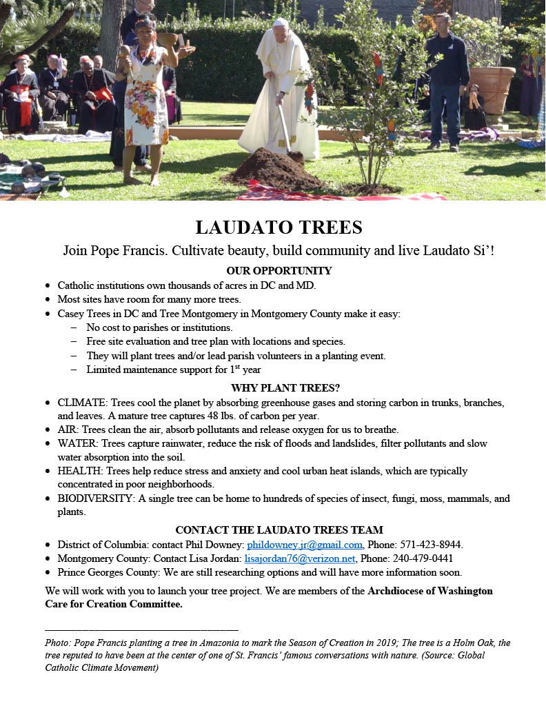 IPC_Chesapeake's tweet photo. Spring is beckoning...do you have space to plant trees? A DMV Catholic group is trying to get as many Catholic churches to plant trees as possible. Join them or reach out to their contact numbers if you need more help. #LaudatoTree @CaseyTrees @MyGreenMC https://t.co/YEJisDjgrK