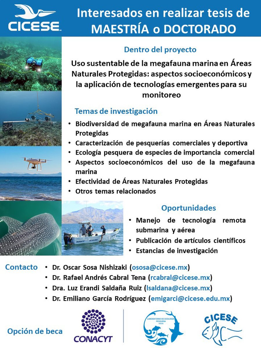 ⚠️Oportunidad para realizar tesis de maestría o doctorado en México, en el Centro de Investigación y de Educación Superior de Ensenada, Baja California (CICESE)👀👇